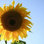 Vzpominka na podzim :o)