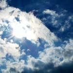 Morning glory..
