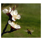 ..tak kterej to bude?..