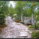 "Kamenné/zelené moře"