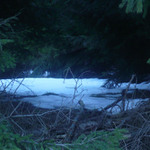 Jehličí-nejehličí, sníh-nesníh...