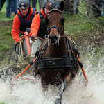 Rudolfův pohár - MARATÓN