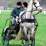 Rudolfův pohár - MARATÓN_2