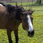 Nerozčiluj mě........