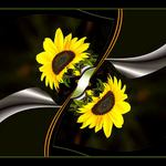 Experimentální hrátky