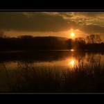 Rackové přilétají...