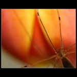 ...tak si to cvaknu sám...