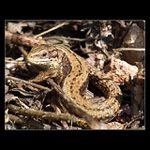 Fujtajbl to jsem se tě lekla...