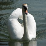 Len tak si plávať ... :)