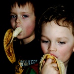 Prosíme nekrmit ...