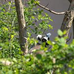 snad me nenajdou....