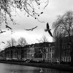 Sychravy den nad Delftom