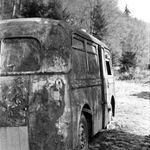 Toulavý autobus