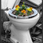 .. a problém s recykláciou je vyriešený !?