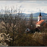 Jaro pod Hazmburkem.