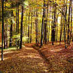 Něco končí, něco začíná