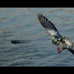 .. před přistáním ...