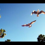 Andělé nezapomněli...