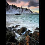 Arctic