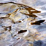 Vyšly ryby, vyšly...