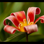 tak já se loučím...