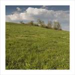 Až nás lidská ruka porazí ...