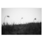 Krtečkovy větrné elektrárny