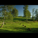 podvečer v lužických horách