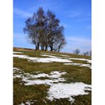 Strakatá příroda I.