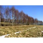 Strakatá příroda II.