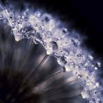 ...perličkové jemnosti...