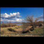 ...u stare maruše....