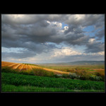 Krajina u mladeho sadu