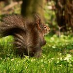 Bacha...mám prdy :o)