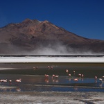 Salar de Surire III