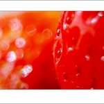 jahodovka abstraktná...