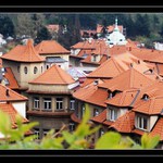 Střechy a stříšky