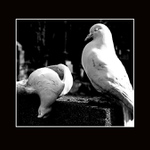 tohle vypadá jako případ pro kriminálku...