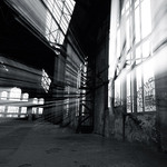 Osvícená Karolína