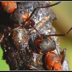 Zatočím s tebou....