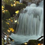 Ještě podzimní...