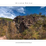 -[Divoká Šárka III]-