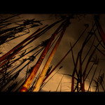 rákosníčkovo doupě