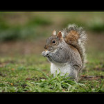 ...uz si pochutnavam ...