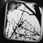 kdo by se dival nazpatek