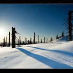 Jizerské svítání