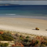 Na procházce se psem