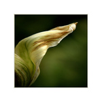 ...přichází konec...