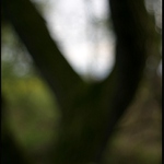 Život bez brýlí I