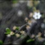 Život bez brýlí III